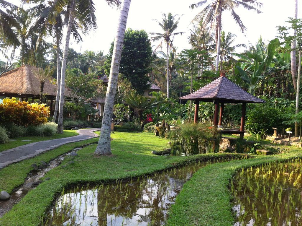 Villa Semana Resort Ubud Exterior foto